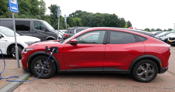 stock image Elburg, the Netherlands - Sept 23 2022 A red all-electric Ford Mach-E parked. The car is charged in a large parking lot in the Netherlands