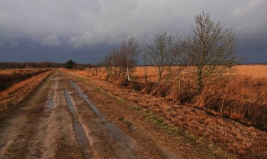 Bargerveen yağmurlu bir kış gününde. Bu doğa rezervi, Hollanda 'nın Drenthe ve Groningen illerinde bir bataklık olan Bourtanger Mağribi' nin bir parçasıdır.