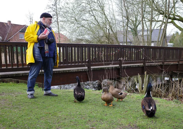 头戴黄色雨衣 头戴燕尾服的老人正在喂鸭子 脖子上戴着相机 — 图库照片