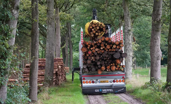 Vilsteren Holandia Sierpnia 2021 Stacked Dzienniki Ładowane Ciężarówkę Dźwigiem Który — Zdjęcie stockowe
