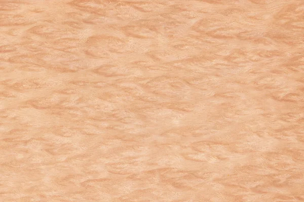 浅褐色的烧木皮 作为木材纹理背景的意思 — 图库照片