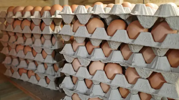 Staples with egg trays. Storage for brown eggs from an organic egg farm