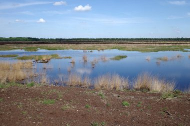 Wietmarscher Mağribi daha önce turba çıkarma için kullanılan ve 2010 yılından beri yenilenmiş bir bataklık bölgesidir.