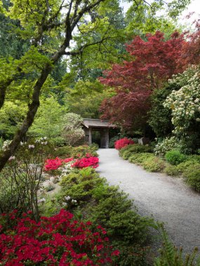 Yao Japon Bahçesi 'nde bahar mevsimi, Bellevue Botanik Bahçesi - WA, ABD