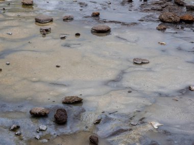 İzlanda, Geysir Jeotermal Bölgesi 'nde sıcak kaynak havuzu