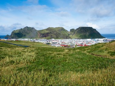 Heimaey kasabasının panoramik manzarası ve Heimaey Adası - Westman Adaları, İzlanda