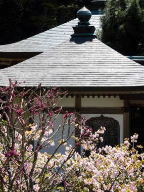 Saijo, Ehime Bölgesi, Japonya - 12 Nisan 2018: İlkbahar Yokomineji, Shikoku hac ibadetinin 60 numaralı tapınağı