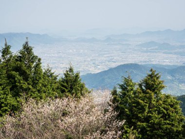 Unpenji 'nin tepesinden, Japonya' nın Kagawa ilinde kiraz ağacı açan Kan-Onji şehrinin manzarası.