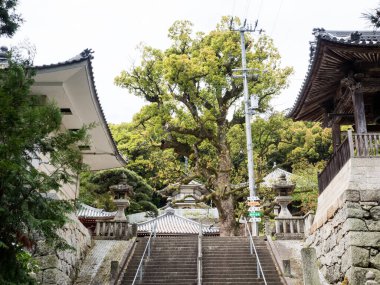 Kanonji, Kagawa Bölgesi, Japonya - 13 Nisan 2018: Kannonji ve Jinnein 'in ortak alanlarında, Shikoku hac yolunda 68 ve 69 numaralı tapınaklar