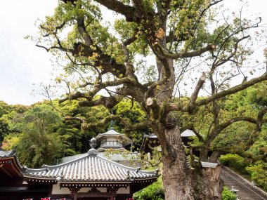 Kanonji, Kagawa Bölgesi, Japonya - 13 Nisan 2018: Kannonji ve Jinnein 'in ortak alanlarında, Shikoku hac yolunda 68 ve 69 numaralı tapınaklar