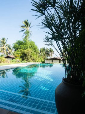 Phuket, Tayland 'da özel lüks bir villada mavi havuz