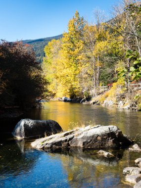 Skykomish nehri üzerinde sonbahar yeşilliği, ABD otoyolu 2, Cascade Loop - Washington eyaleti, ABD