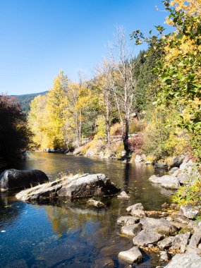 Skykomish nehri üzerinde sonbahar yeşilliği, ABD otoyolu 2, Cascade Loop - Washington eyaleti, ABD