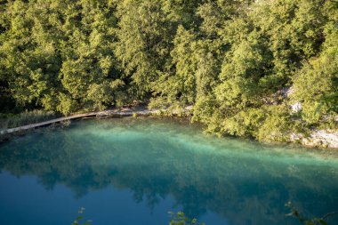 Plitvice Milli Parkı Gölü 'nü geçen güzel ahşap patika. Yoğun su bitkisi ve dağ manzarasının yeşil ormanı içinden geçiyor.