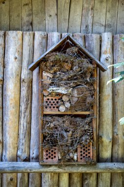Tahta böcek evi ahşap cepheye sabitlenmiş, küçük böcekler için kış evi olarak kullanılıyor.