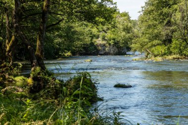 Güzel Slunjcica nehri, Rastoke köyünün hemen aşağısındaki sık, ahşap bölgeden geçiyor, ünlü Hırvat turizm merkezi.