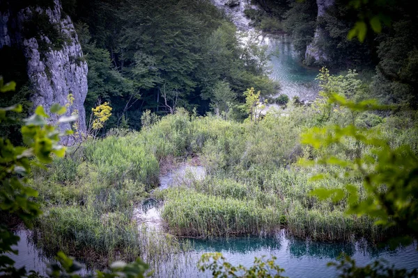 科拉纳河形成了无数瀑布 克罗地亚大陆上美丽的国家公园 普里特维奇湖的密集水生植物因此而闻名 — 图库照片