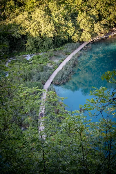 Красивая Деревянная Дорожка Пересекающая Озеро Плитвицкого Национального Парка Проходящая Через — стоковое фото