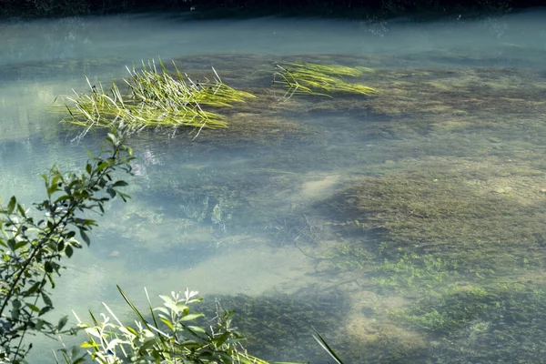 水生植物生长在美丽的绿松石山Slunjcica河底部 位于克罗地亚大陆山区深处 — 图库照片