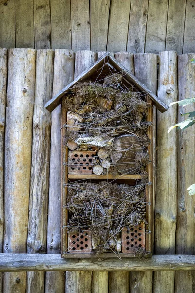 木虫屋 固定在木制立面上 用作小型昆虫的冬季家 — 图库照片