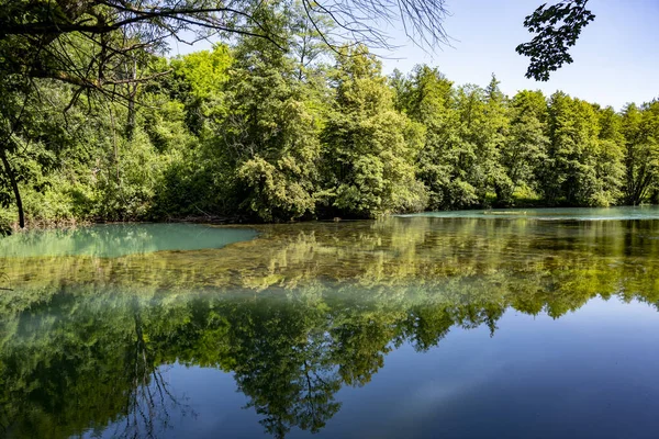 Vacker Flodstrand Vid Floden Slunjcica Kroatien Täckt Tät Grön Skog Royaltyfria Stockbilder