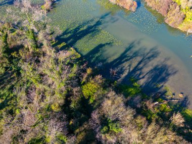 Hırvatistan 'ın Zagreb kentinin doğu yakasındaki Sava nehir kollarının sonbahar mevsiminde çekilmiş hava görüntüleri