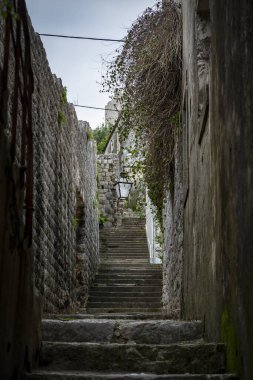 Dalmaçya taşından yapılmış ve Hırvatistan 'ın ortaçağ kasabası Ston' da sarmaşıkla kaplı güzel, eski merdivenler.
