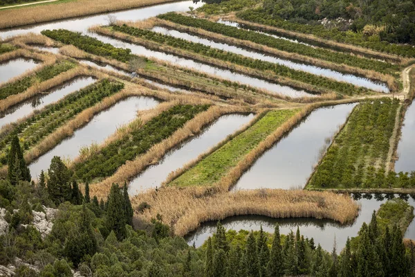 stock image Beautiful rural countryside and fruit plantation on Neretva river festuary, famous farming area in southern Croatia