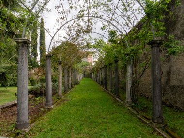 Palazzo Porto Colleoni Thiene, ayrıca Villa ya da Castello olarak da bilinir, Vicenza 'nın başkenti Thiene' de bir saray binasıdır. Yüksek kalite fotoğraf