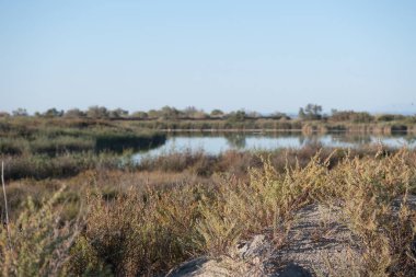 Fransa 'nın Çorak Toprakları' ndaki manzara. Yüksek kalite fotoğraf