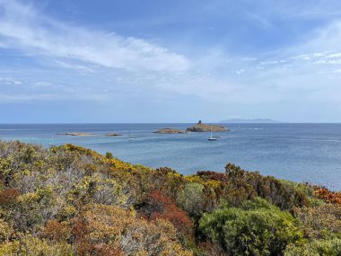 Sentier des Douaniers, doğal alanların korunduğu Macinaggio ve Centuri arasındaki Kaptan Corse kıyısı boyunca 19 km yürüyüş mesafesindedir.