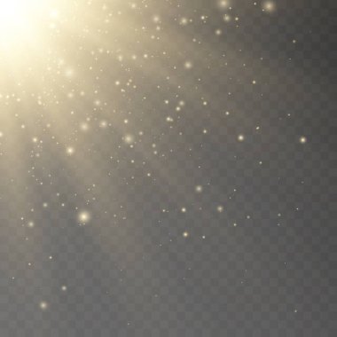 Şeffaf düşen güneş ışığı özel lensi, parlayan ışık efekti. Parıldayan altın ateşböcekleriyle parıldayan bir ışıkta vektör bulanıklığı.