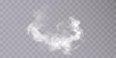 Beyaz bulut, sis, sis, sis, buhar. Vektör 10 EPS şeffaf arkaplan PNG