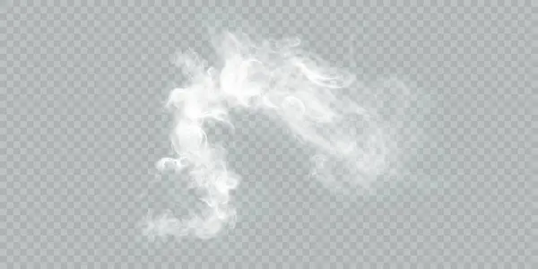 Yumuşak girdaplar ve sis yoğunluğu ile şeffaf arkaplan üzerinde gerçekçi beyaz duman etkisi. Örtüler, buhar efektleri ya da atmosferik tasarım elementleri için mükemmel. Vektör