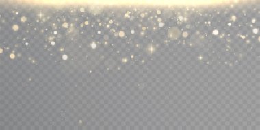 Şeffaf arkaplanda izole edilmiş bir sürü parlak, ışıldayan parçacık içeren Bokeh ışık efekti. Parıltı. Tozlu vektör yıldız bulutu.