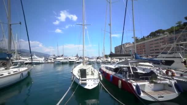 Paisaje Urbano Los Barcos Atracados Puerto Deportivo Montecarlo Día Soleado — Vídeos de Stock