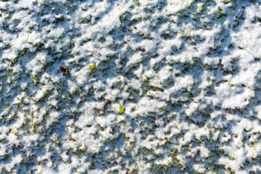 Karla kaplı zeminin yakın görüntüsü altında düşen yapraklarla birlikte eşsiz dokusunu da sergiliyor.