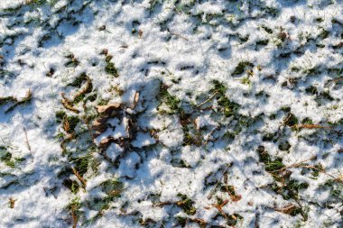 Karla kaplı zeminin yakın görüntüsü altında düşen yapraklarla birlikte eşsiz dokusunu da sergiliyor.