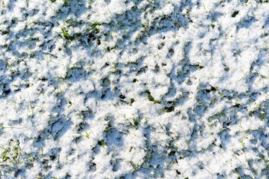 A closeup view of snowcovered ground that showcases its unique texture along with fallen leaves beneath it clipart