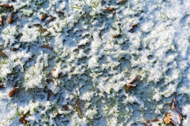 Karla kaplı zeminin yakın görüntüsü altında düşen yapraklarla birlikte eşsiz dokusunu da sergiliyor.