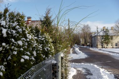 Güneşli bir akşamda küçük bir Letonya kasabasının manzarası, ağaçlar, çalılar, çitler, yeşillikler, kar ve buz yığınları, farklı odak noktaları, farklı çerçeveler, kaldırımlar ve yollar, eski binalar.