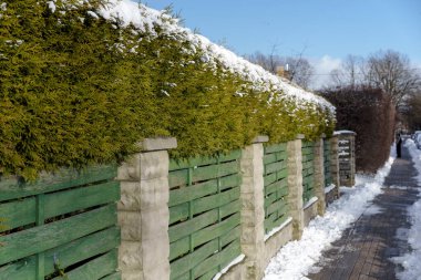 Güneşli bir akşamda küçük bir Letonya kasabasının manzarası, ağaçlar, çalılar, çitler, yeşillikler, kar ve buz yığınları, farklı odak noktaları, farklı çerçeveler, kaldırımlar ve yollar, eski binalar.