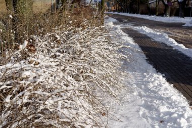 Güneşli bir akşamda küçük bir Letonya kasabasının manzarası, ağaçlar, çalılar, çitler, yeşillikler, kar ve buz yığınları, farklı odak noktaları, farklı çerçeveler, kaldırımlar ve yollar, eski binalar.