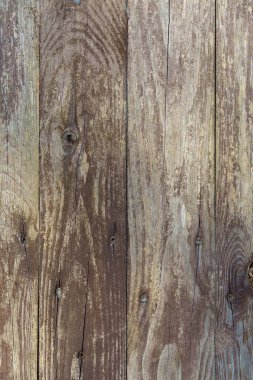 Tahta kalkanın bir parçası, vida ve çivilerle, boya soyuluyor, yakın plan, ahşap lifleri ve testere izleri, boya kalıntıları görebiliyoruz.