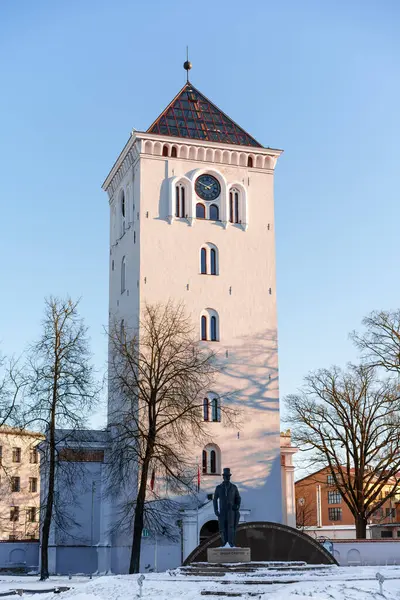 Jelgava 'daki Kutsal Üçleme Kilisesi' nin kulesi akşam ışığında fotoğraflandı. Kule ağaç siluetleriyle kaplandı.