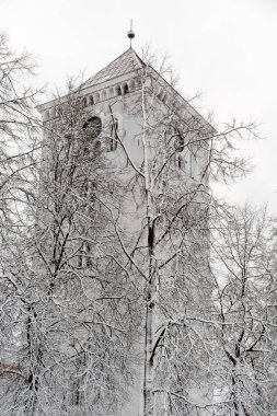 Jelgava 'daki Kutsal Üçleme Kilisesi' nin kulesi akşam ışığında fotoğraflandı. Kule ağaç siluetleriyle kaplandı.
