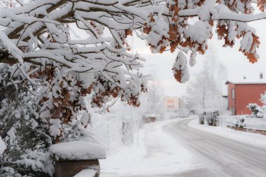 Güneşli bir akşamda küçük bir Letonya kasabasının manzarası, ağaçlar, çalılar, çitler, yeşillikler, kar ve buz yığınları, farklı odak noktaları, farklı çerçeveler, kaldırımlar ve yollar, eski binalar.