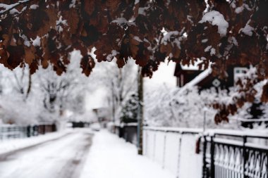 Güneşli bir akşamda küçük bir Letonya kasabasının manzarası, ağaçlar, çalılar, çitler, yeşillikler, kar ve buz yığınları, farklı odak noktaları, farklı çerçeveler, kaldırımlar ve yollar, eski binalar.
