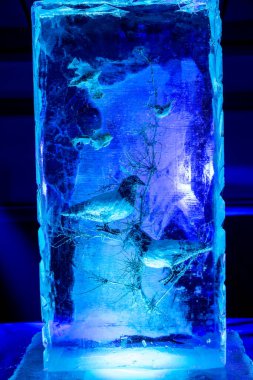 Şubat ayında Letonya 'nın Jelgava kentinde düzenlenen 27. Uluslararası Buz Heykeli Festivali' nde buzdan heykeller fotoğraflandı. İnsanlar fotoğraflanmaz.