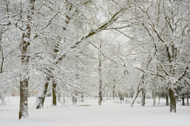 Karla kaplı ağaçlar ve kar yığınlarıyla dolu bir park, göz hizasından fotoğraflanmış, bulutlu bir gün, hava koşulları kar yağışlı.